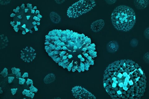 flu virus